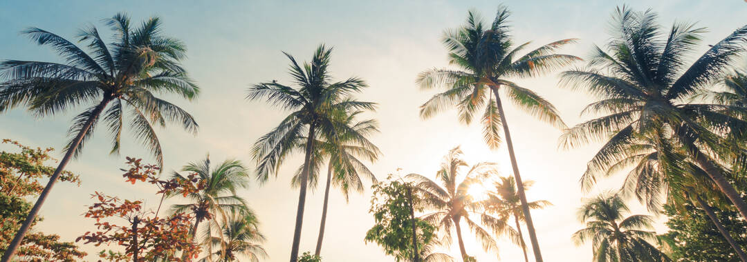 Beach Day Essentials: Spend the Day at Rockport Beach