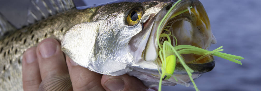 Top 5 Things To Do In Rockport, Texas